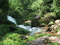 �������СϪ