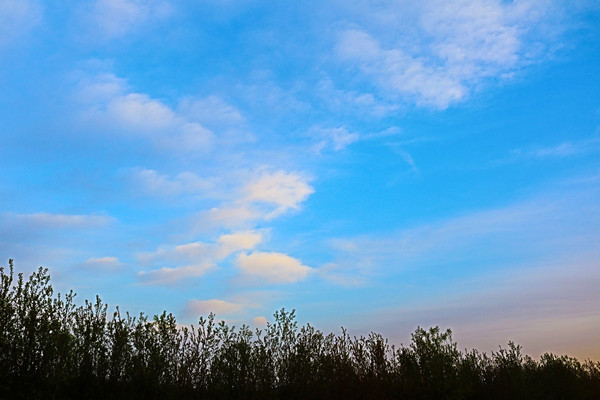 ��ľ����ͼƬ