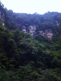 Ρ��ߴ�ı̷�Ͽ��