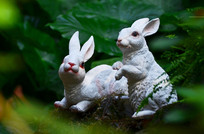 ���ӵ���