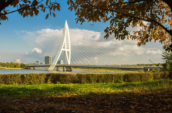 б������ɫ