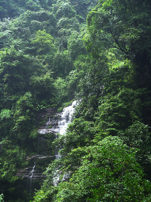 ������ֲ�����ɽ��