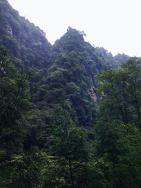 �ƿ���ɢ��ı̷�Ͽ