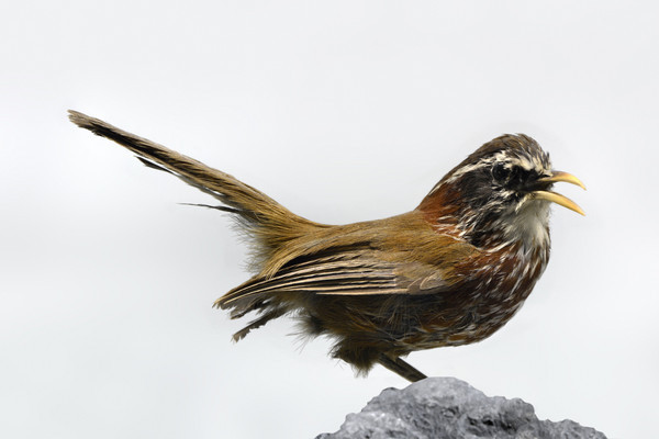 �ؾ�������