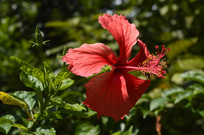 ����ֲ���컨