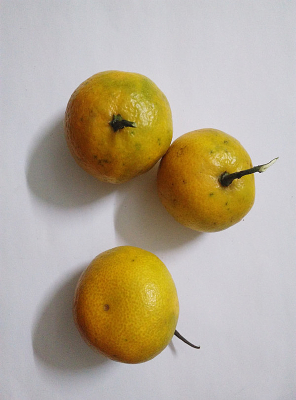 ������ͼƬ