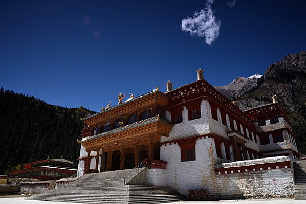 �����µ������