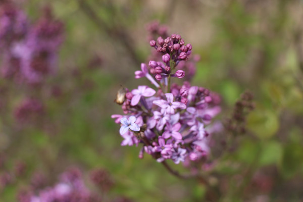 �����ϻ�