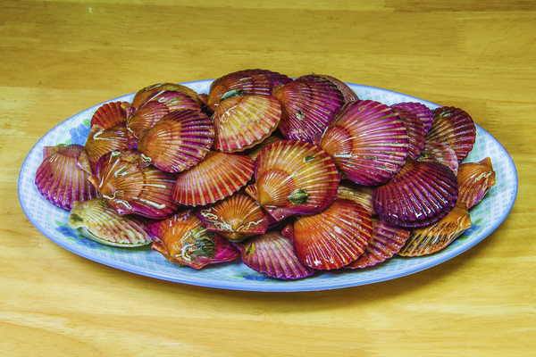 һ������Ƥ�ȱ�