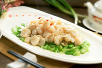 �ٺ����Ϻ��