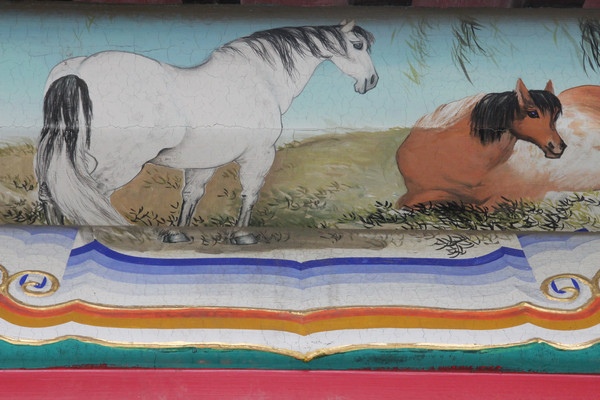 ��ɫ�����������