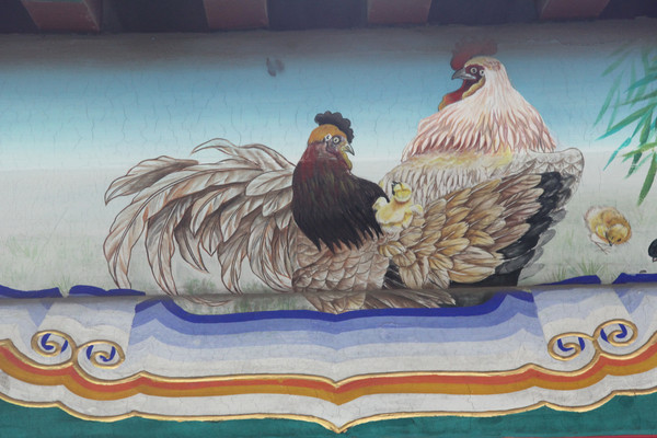 ��ɫ��������ĸ��