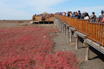 �캣̲���ο�