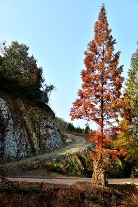 山道