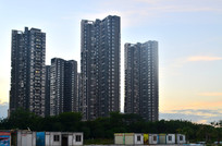 ���д�¥����Ⱥ