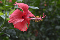 ��ɣ����ֽ