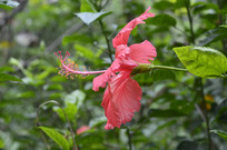 ��ɣ���ܱ���