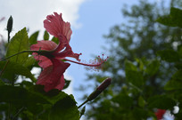 ��ɣ����