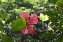 ��ɣ��������