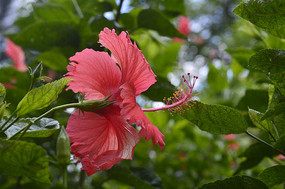 ��ɣ���ز�ͼ