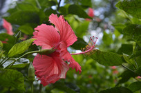 ��ɣ���ز�ͼ