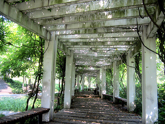 ���ѳ���