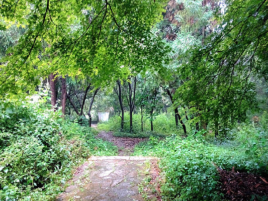 ����С��