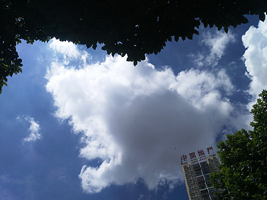 ���ʵ����