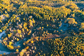 �＾�ֺ�СϪ �����ģ� 