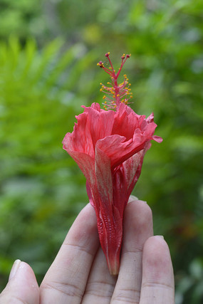 ����һ���ɣ��