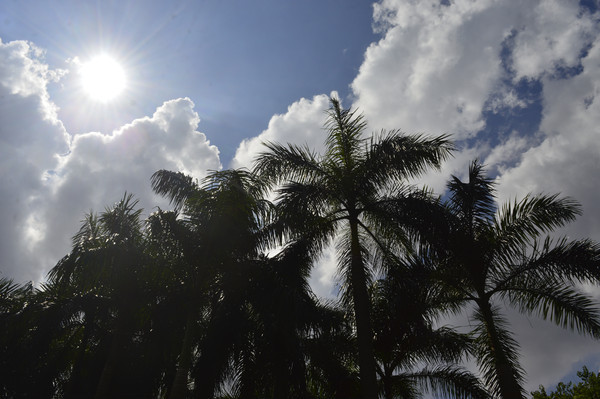 ���������鵿�ֲ��