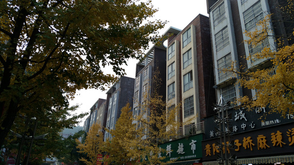 ����С�����������