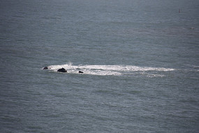 ���е��˻�