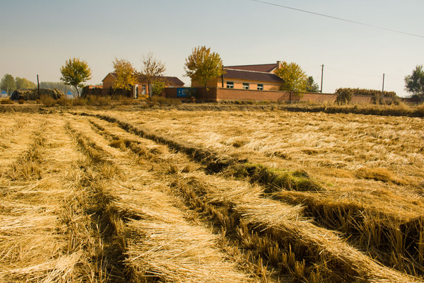 �������ͷ����