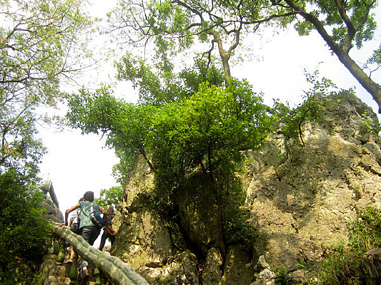 ��ɽ����