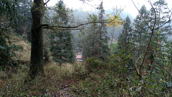 ���ϵķ���