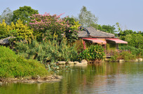 ���߻���