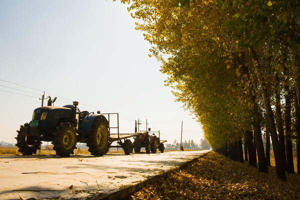 ����·��