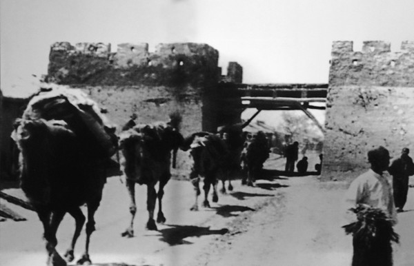 �峯�������ŵ������ն� ����Ƭ 