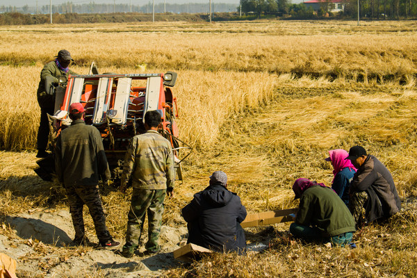 �����е�ˮ���ո��