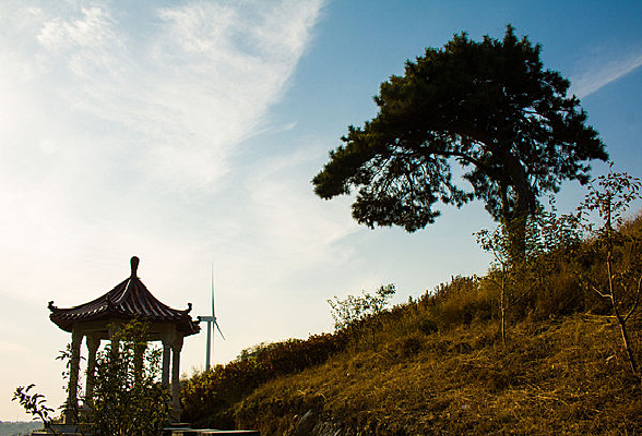 һ��������ͤ