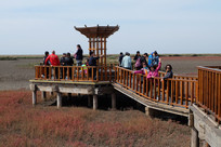 �캣̲����ͤ