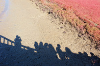 �캣̲���۾���