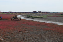 �캣̲���ӵ�