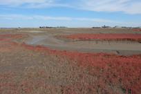 �캣̲�����