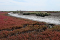 �캣̲��Զ���ĺ���