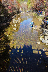 ɽ����ɫ���ο�Ӱ��