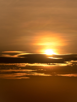 ������ɫ