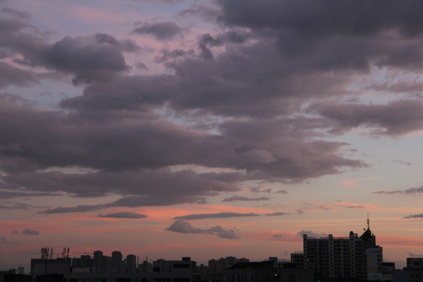 ��ϼ����