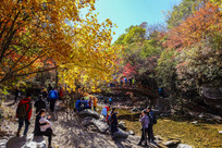 Ͽ�Ⱦ������ο�